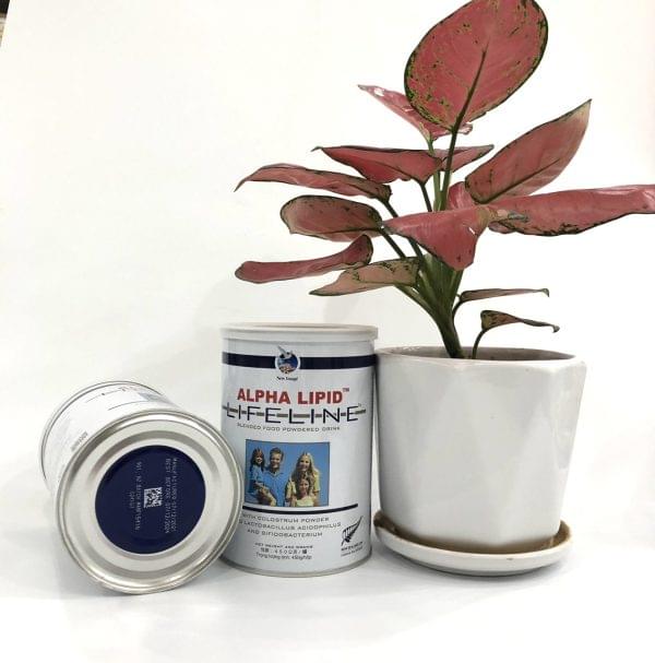 Bữa sán kháng thể Alpha Lipid